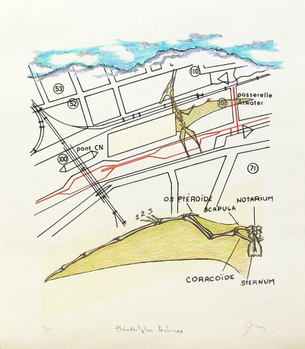 <em>Ptérodactylus Lachinæ</em> (2001) de Cozic